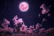 Ružičasti puni Mjesec Pink Moon