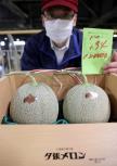 Japanska dinja