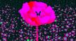 Horoskop