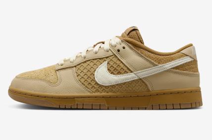 Nike Dunk Low Waffle tenisice