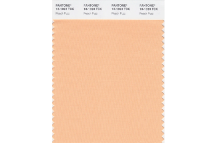 Pantone boja 2024