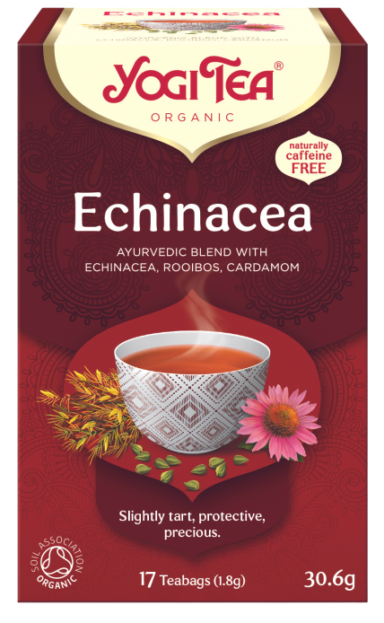 Echinacea.png