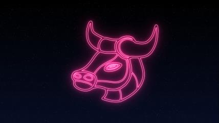 Horoskopski znak bik