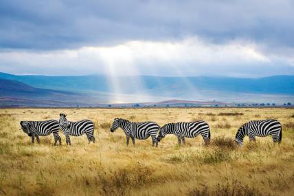 Tanzanija, Afrika