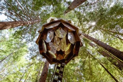 The Pinecone Treehouse