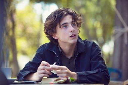 Timothee Chalamet, Lady Bird