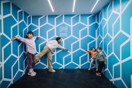 Ames room.jpg