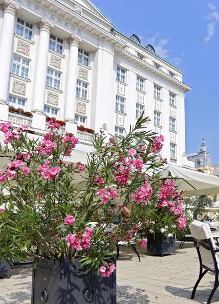 Esplanade Zagreb Hotel - Oleander Terrace.jpg