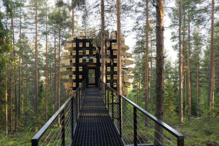 biosphere treehotel