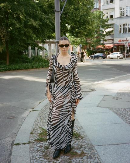 Zebra motiv