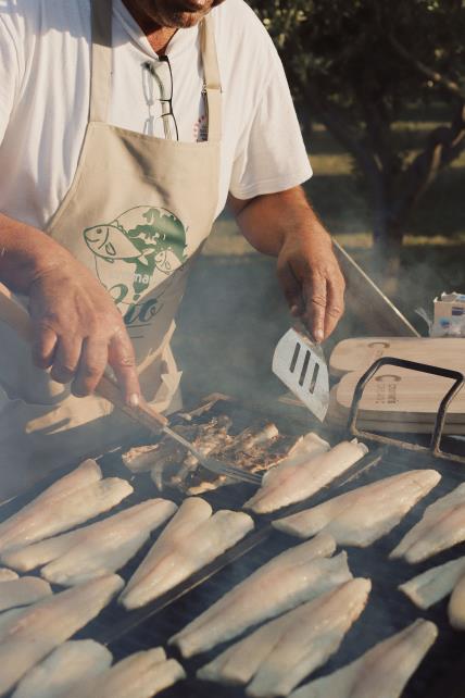 Toč Festival