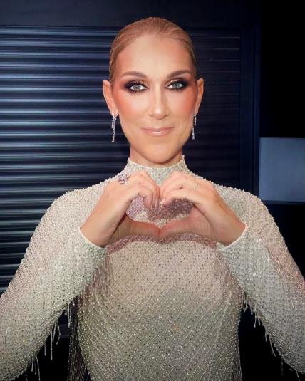 Celine Dion Pariz Dior