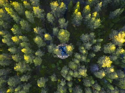 biosphere treehotel