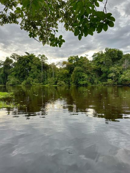 Amazona putovanje