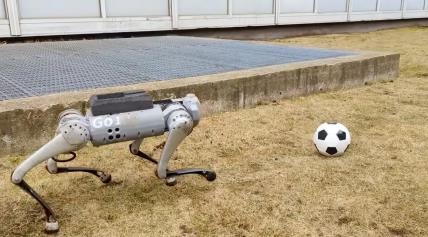 Nogometni robot DribbleBot