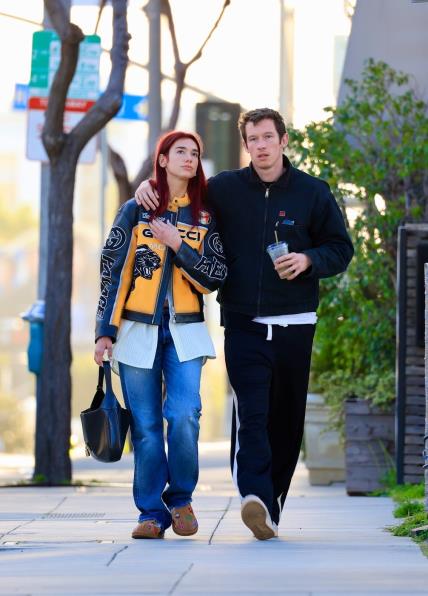 Dua Lipa, Callum Turner