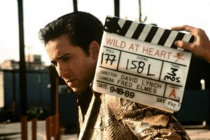 Wild at Heart David Lynch