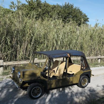 Celine mini Moke vintage auto