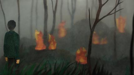 Kako takvi požari gore pod zemljom__How are these fires burning underground.jpg