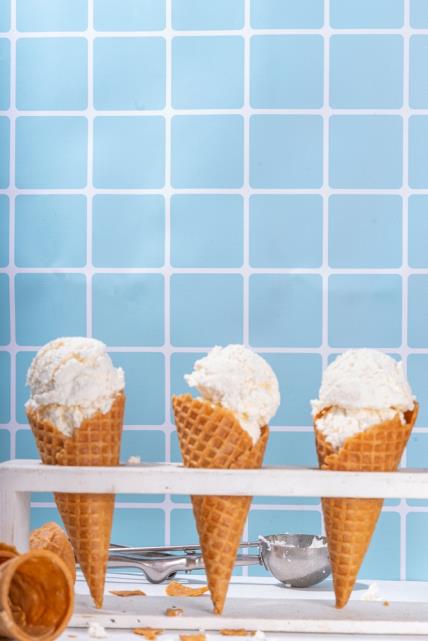 Cottage Cheese Ice Cream sladoled