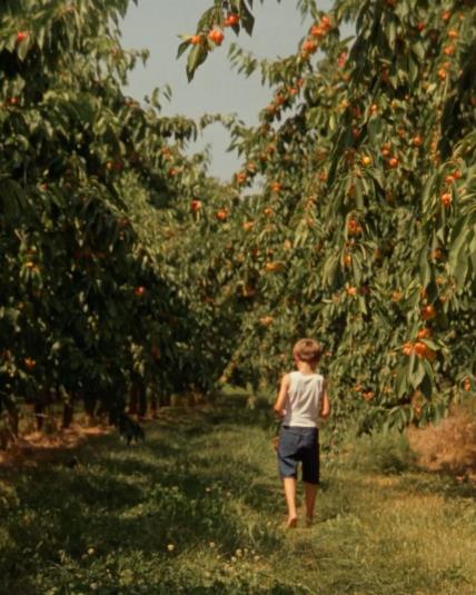 Jacquemus kampanja Le Paysan