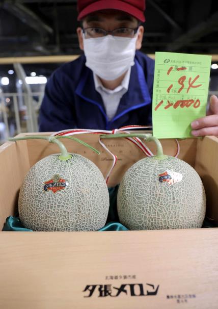 Japanska dinja