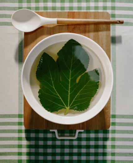 Zara Home sladoled dinja recept