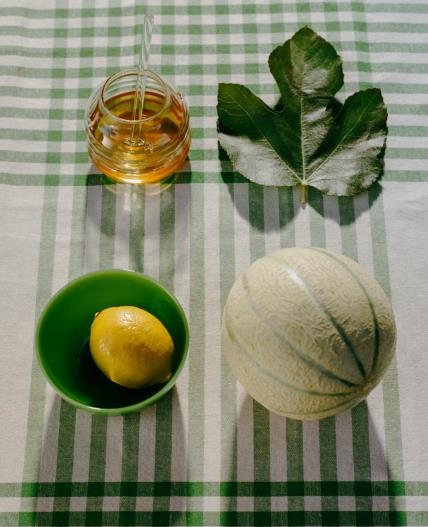 Zara Home sladoled dinja recept