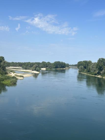 544490.jpg
