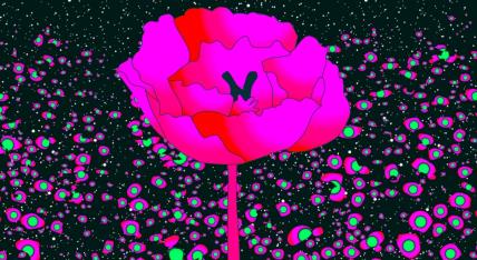 Horoskop