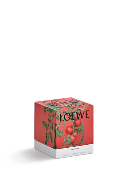 Loewe svijeća Tomato Leaves