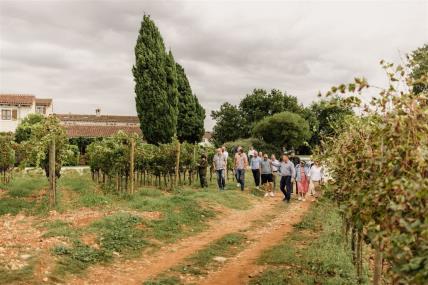 Vinarija Meneghetti savršeno je mjesto za jesenski izlet